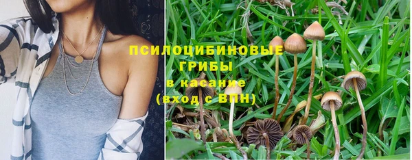 спиды Балабаново